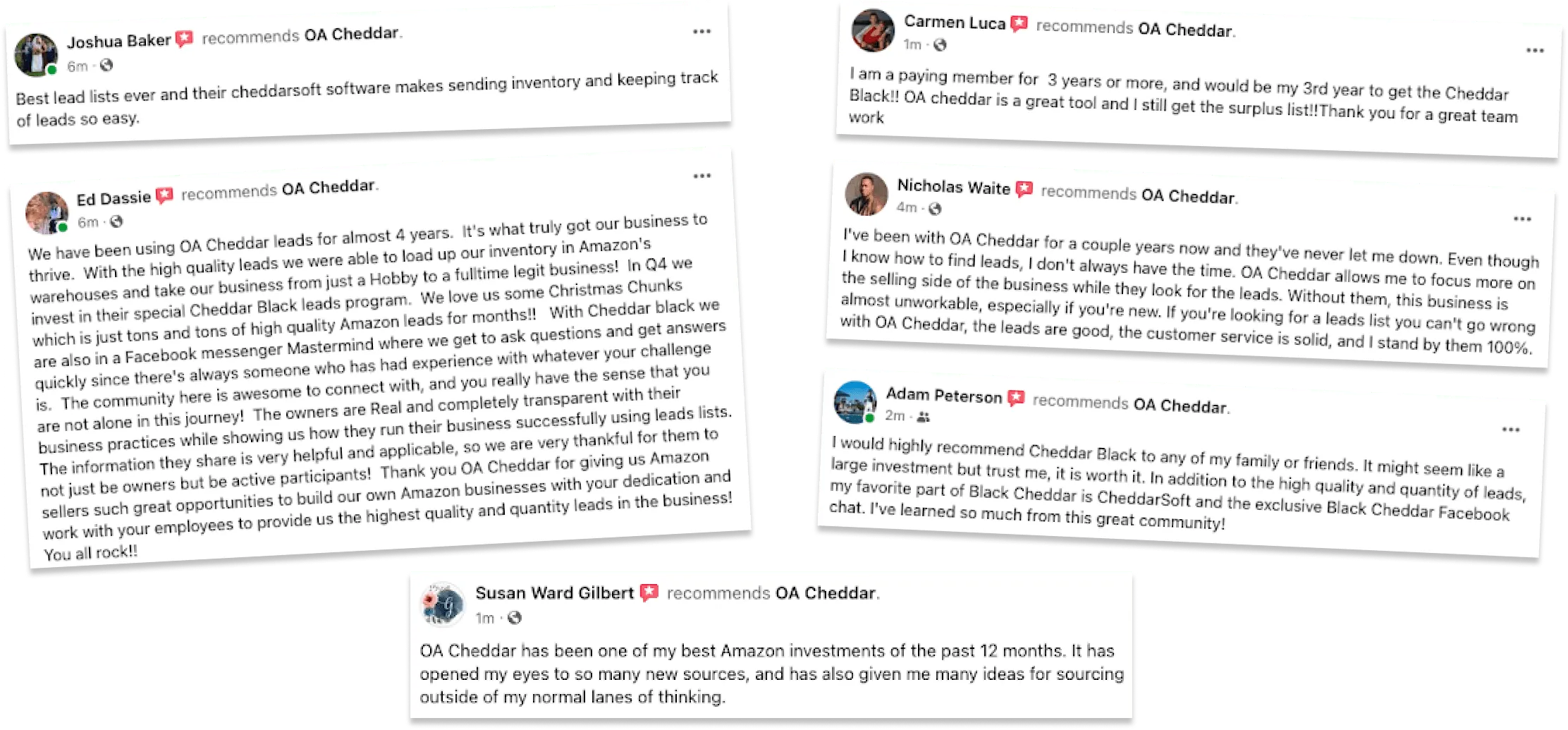 Screenshots of member reviews posted in the Cheddar Black community